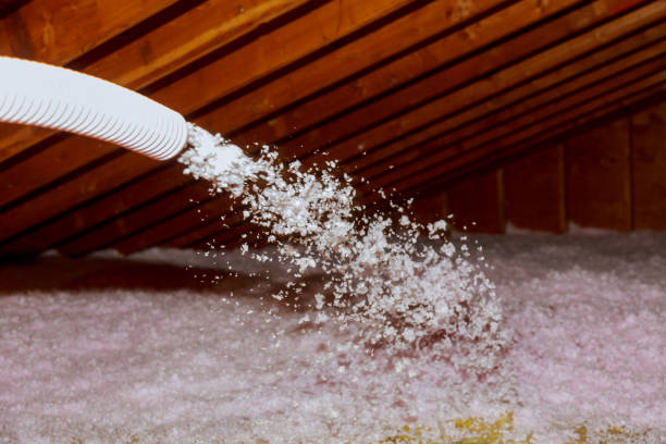 Best Specialized Insulation Services in Cicero, IL