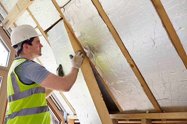 Best Insulation Maintenance and Repair in Cicero, IL