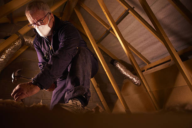 Best Residential Insulation in Cicero, IL